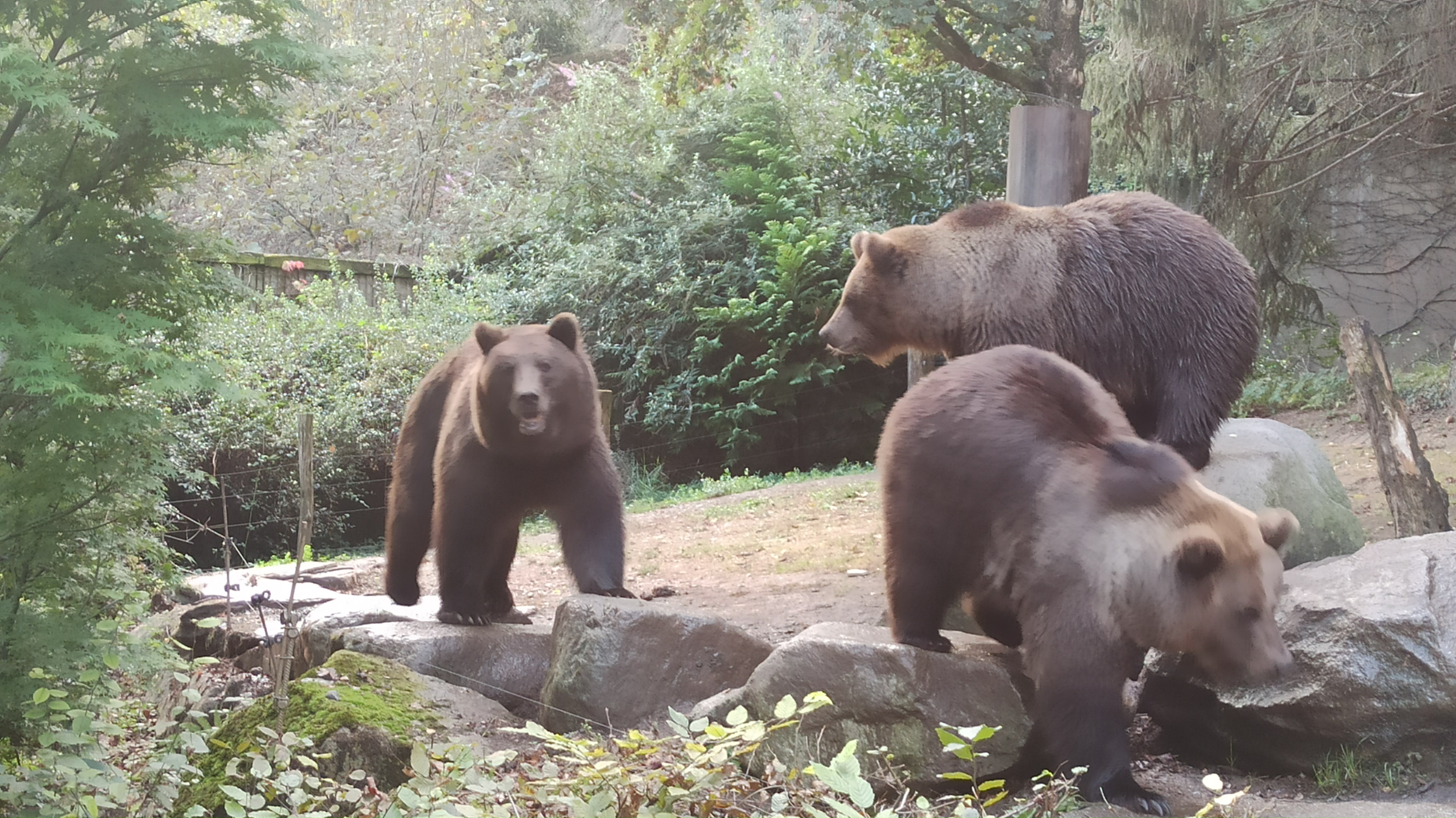 Photo n° 2 de l'avis de Lucie.o fait le 26/10/2023 à 19:45