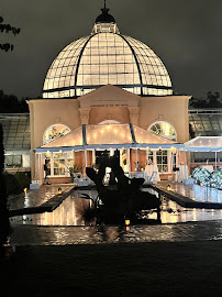 New Orleans Weddings & Events LLC - Photo 6 - Car repair in , New Orleans