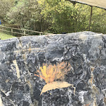 Photo n° 3 de l'avis de clarisse. fait le 03/11/2017 à 17:14 pour Espace Préhistoire de Labastide à Labastide