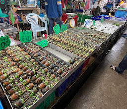 ตลาดเก่าอ่างศิลา photo