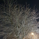 Photo n°1 de l'avis de Alexander.a fait le 26/02/2020 à 18:39 sur le  Hotel Garni Angermeier à Eching