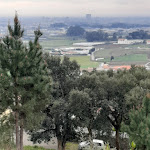 Photo n°2 de l'avis de Armando.o fait le 26/06/2021 à 20:07 sur le  Nossa Tasca, comida & petiscos à Terroso