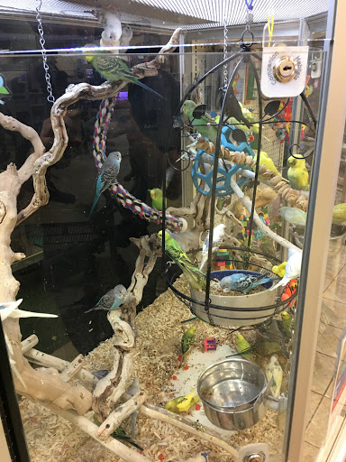Pet Store «Pet City Pet Shops», reviews and photos, 750 Citadel Dr N # 2092, Colorado Springs, CO 80909, USA