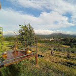 Photo n°8 de l'avis de Ermes.a fait le 08/08/2021 à 06:47 sur le  Molare's à Cremolino