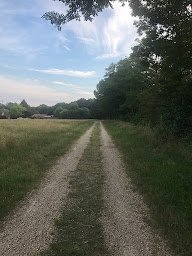 Photo n°104 de Hôtel et Restaurant du Lac d'Arjuzanx à Morcenx-la-Nouvelle ()