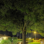 Photo n°7 de l'avis de Lu.m fait le 22/09/2021 à 09:23 sur le  Ristorante La Madonnina di Barni à Barni