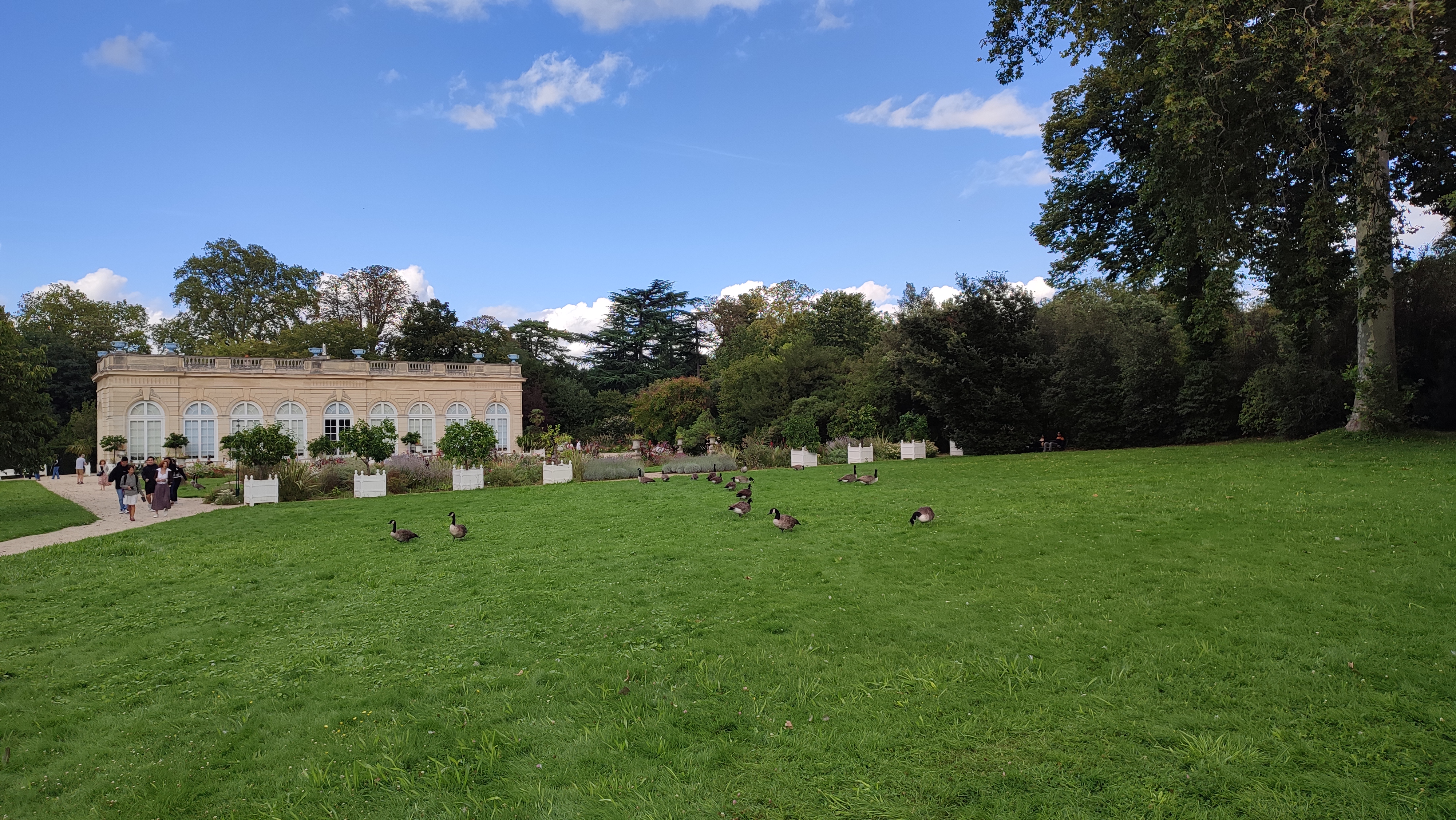 Photo n° 3 de l'avis de Icare.h fait le 31/08/2023 à 20:47