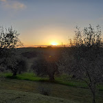 Photo n°22 de l'avis de Matteo21.. fait le 19/03/2024 à 23:14 sur le  Agriturismo Podere Spedalone à Pienza