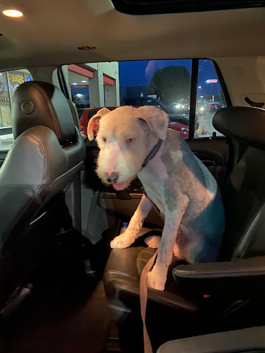 Pet Supply Store «Pet Supplies Plus», reviews and photos, 120 Sara Way, Belle Vernon, PA 15012, USA