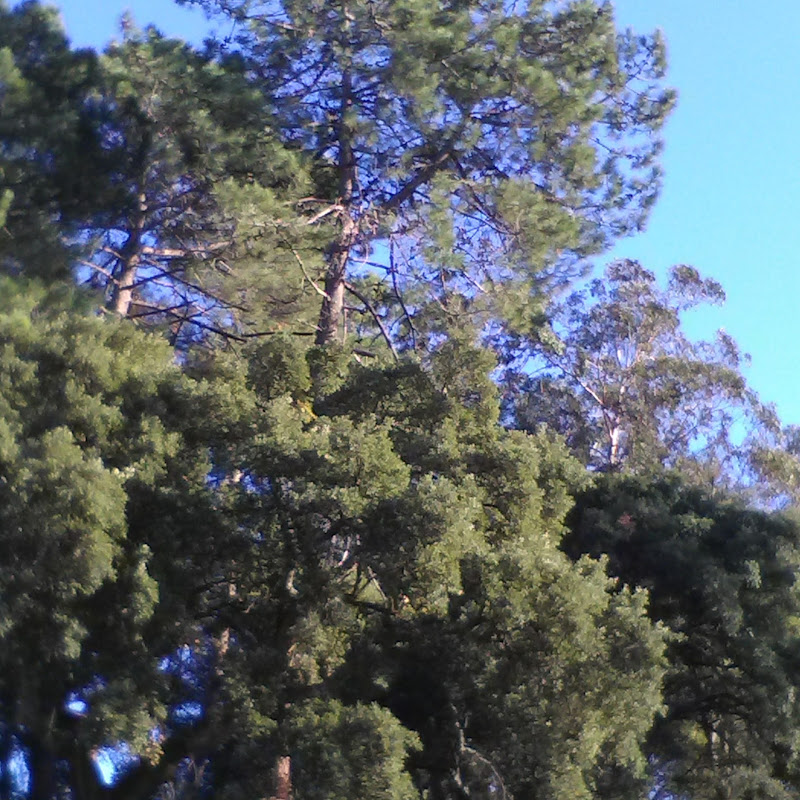 Miradouro De Cabeças