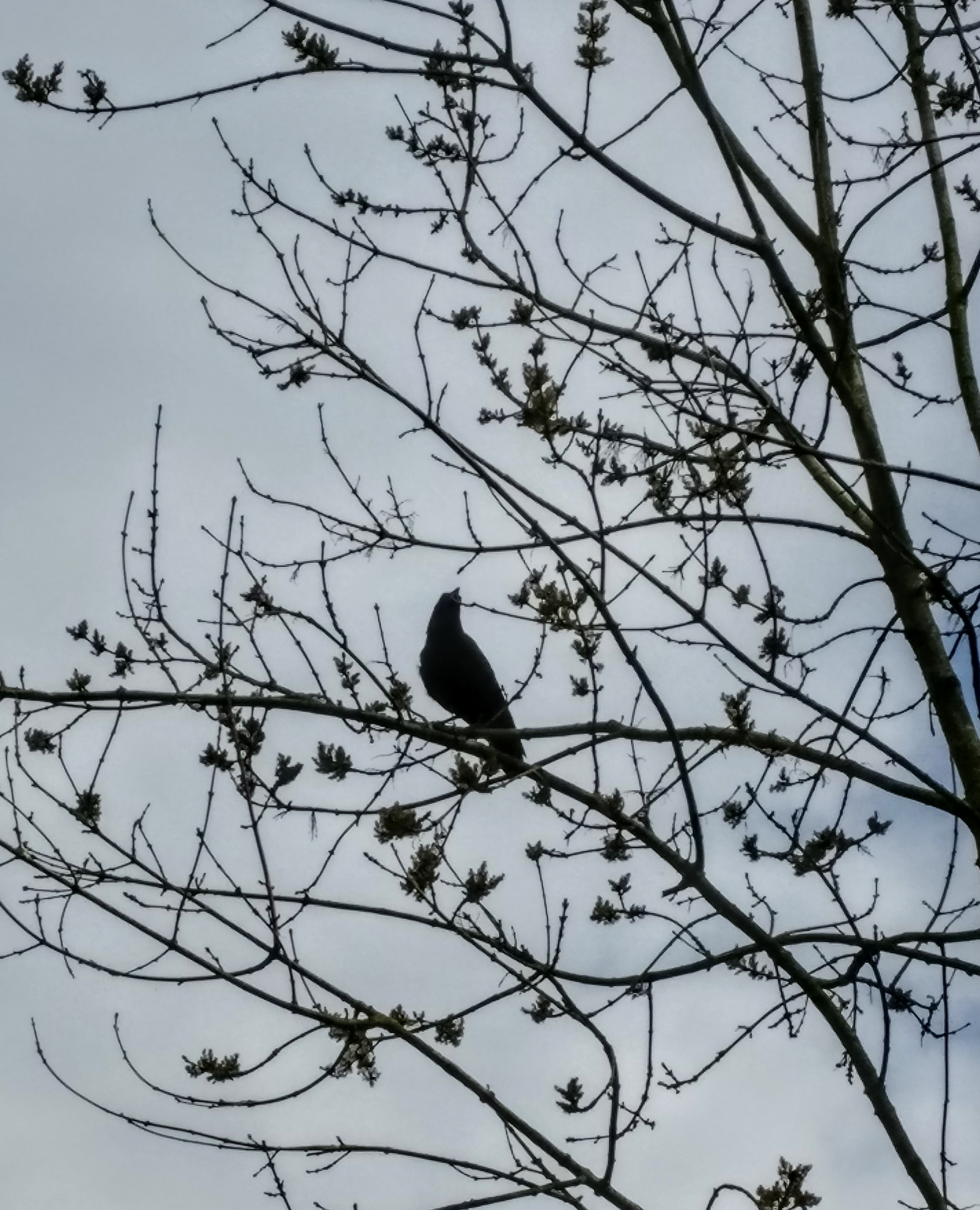 Photo n° 5 de l'avis de Marie-Jacqueline.P fait le 01/05/2018 à 07:27