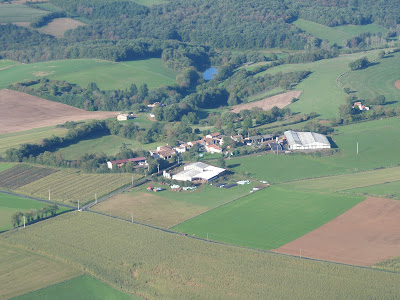 la ricardié à Terre-de-Bancalié