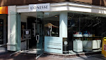 Lionesse - logo