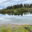 Fobes-Ebey Slough Dike Road Trail