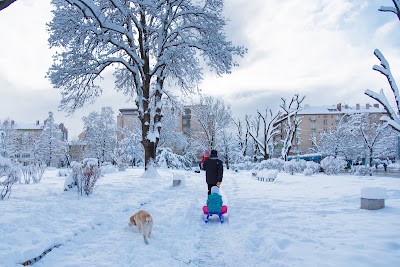Photos of Майчин дом