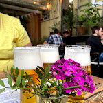 Photo n°1 de l'avis de Carolin.e fait le 19/07/2020 à 17:20 sur le  Knut's - Witten à Witten