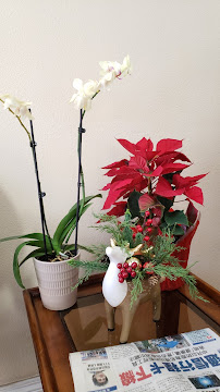 CYY Acupuncture & Herbs - Photo 3 - Car repair in San Gabriel, CA, Pasadena