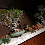 Photo n°7 de l'avis de Giuseppe.a fait le 20/12/2018 à 19:08 sur le  Fund Brugarolo Farm NatureSpa à Sulbiate