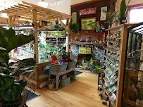 The Madison Greenhouse Store - Car repair in Madison, WI, Madison - Rated 4.8/5