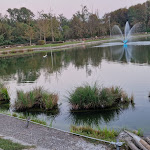 Photo n°1 de l'avis de Carlos.i fait le 17/10/2023 à 14:15 sur le  Pescatori in Cucina à Lissone