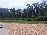 West Chester Pet Resort - Photo 6 - Car repair in Chester, VA, Richmond