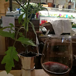 Photo n°1 de l'avis de Angelo.a fait le 21/05/2017 à 20:29 sur le  Osteria delle Crete à San Giovanni d'Asso