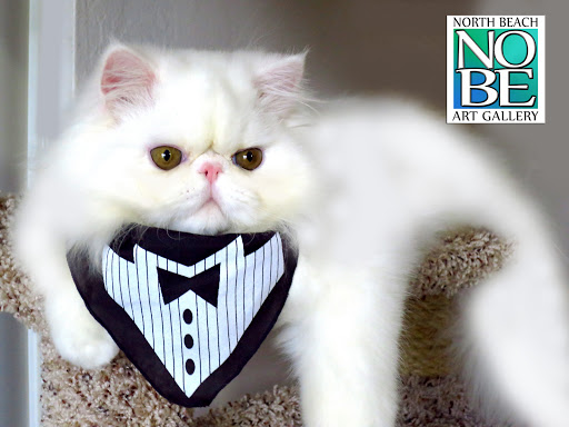 Art Gallery «North Beach Art Gallery», reviews and photos, 3334 NE 34th St, Fort Lauderdale, FL 33308, USA