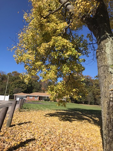 Cleveland Buddhist Vihara and Meditation Center