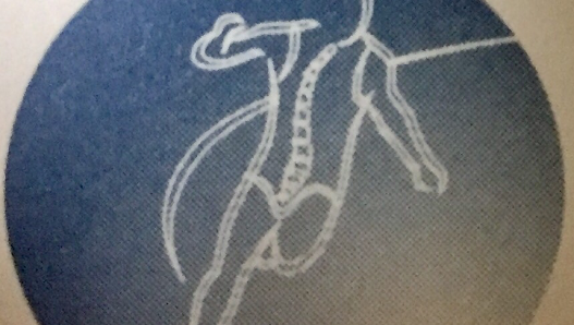 Spectrum Physical Therapy