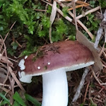 Photo n°7 de l'avis de Matthias.a fait le 10/10/2019 à 21:02 sur le  Hotel am Wolfsgrubenersee à Wolfsgruben - Ritten