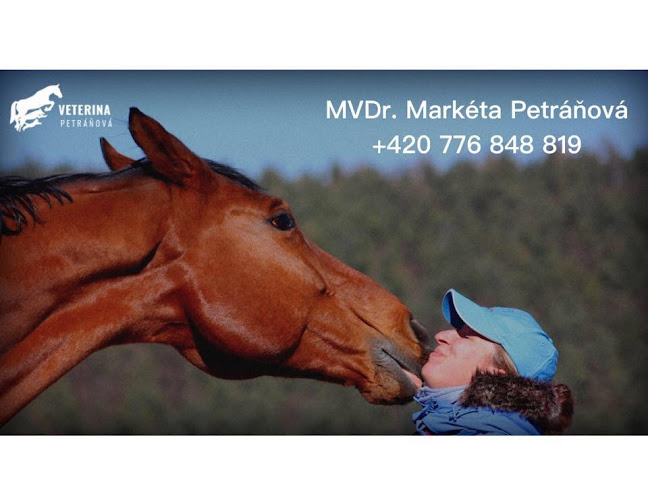 MVDr. Markéta Petráňová - Terénní veterinární lékařka pro koně, Pohotovost koně - Ústí nad Labem
