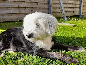 Photo n°1 de Esthima Tôtes à Totes ()