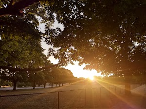 McCarthy Park and Fields - photo 24