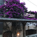 Photo n°2 de l'avis de lorenzo.n fait le 05/07/2021 à 12:40 sur le  Resort & SPA Le Dune à Li Junchi