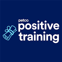 Petco Dog Training - Photo 3 - Car repair in San Mateo, CA, San Mateo