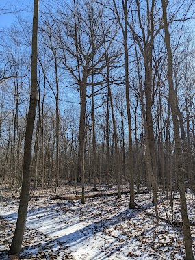 Darke County Parks - Coppess Nature Sanctuary