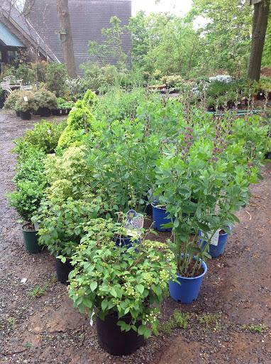 Garden Center «Victoria Gardens», reviews and photos, 1 Cottekill Rd, Rosendale, NY 12472, USA