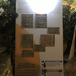 Photo n°4 de l'avis de Silvia.a fait le 13/08/2022 à 10:45 sur le  Agriturismo il Farneto à Sogliano al Rubicone