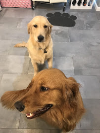 Sonny's Place - Photo 8 - Car repair in Alexandria, VA, Alexandria