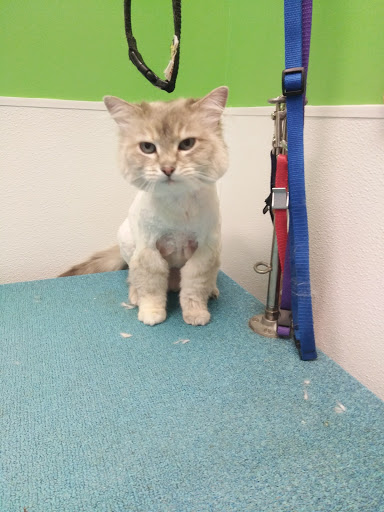 Pet Groomer «Happy Tails Pet Center», reviews and photos, 4370 SE King Rd Ste 260, Milwaukie, OR 97222, USA