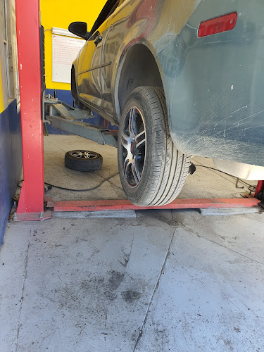 AMM.CO Auto Servicio
