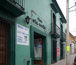 Plaza Santa Cecilia photo