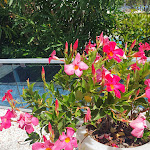 Photo n°2 de l'avis de Lucia.L fait le 30/08/2023 à 08:56 sur le  Park Hotel Ermitage à Jesolo