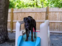 Crate Escape - Car repair in Cambridge, MA, Cambridge - Rated 4.4/5