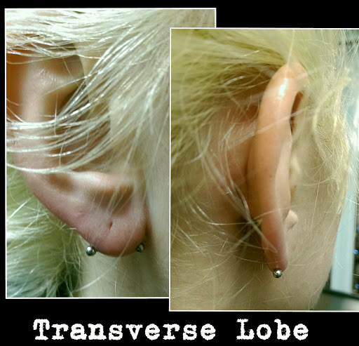 Explore sibling tattoo ideas for 4, creative tattoo ideas in Tucson, available at Sacred Art Tattoo Studio