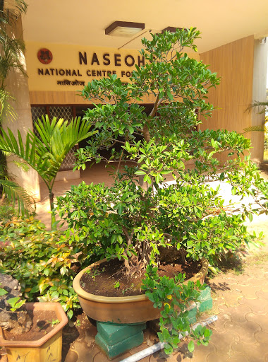NASEOH's National Center for the Handicapped