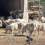 Photo n°25 de l'avis de A. fait le 16/10/2021 à 17:36 sur le  AGRITURISMO LA VILLA à Villa Sant'Angelo