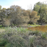 Photo n° 30 de l'avis de Florence. fait le 13/01/2022 à 12:32 pour Parking de Bellou-en-Houlme du Marais du Grand Hazé à Bellou-en-Houlme