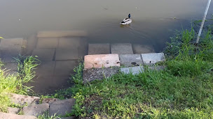 Photo n°167 de Restaurant Au Pont de l'Ill - La Wantzenau à La Wantzenau ()