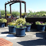 Photo n°1 de l'avis de Silvia.o fait le 10/07/2020 à 16:42 sur le  Jan Seedorf à Wangerooge